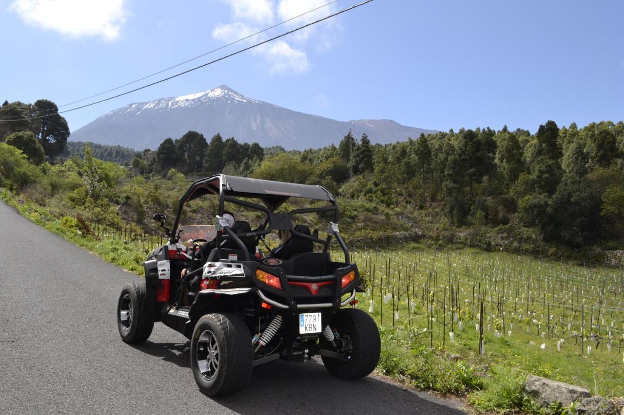 Los Huertos Conect With The Nature & Relax Icod De Los Vinos Eksteriør bilde