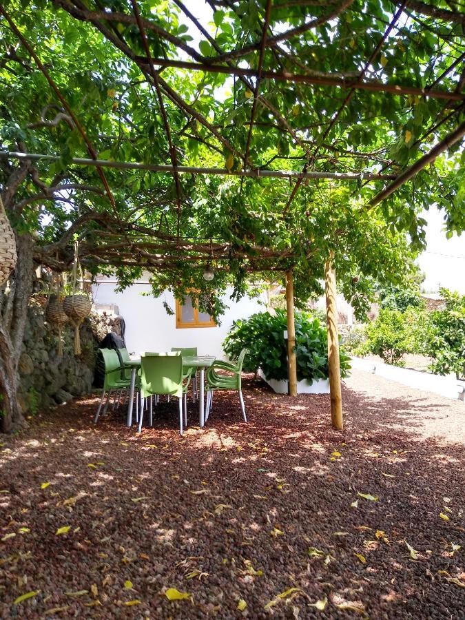 Los Huertos Conect With The Nature & Relax Icod De Los Vinos Eksteriør bilde