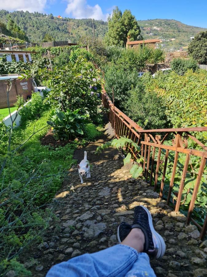 Los Huertos Conect With The Nature & Relax Icod De Los Vinos Eksteriør bilde